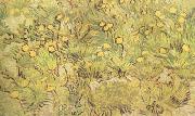Vincent Van Gogh A Field of Yellow Flowers (nn04) oil